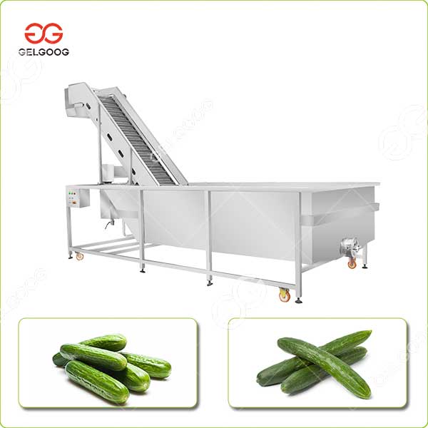 Machine de Traitement de Lavage de Concombre Industrielle Machine de Traitement de Lavage de Concombre Industrielle