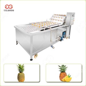 Fournisseur de Machine de Traitement de Lavage de Nettoyage d'Ananas