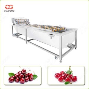 Machine à Laver les Cerises Commerciale