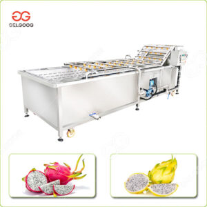 Machine à Laver les Fruits de Pitahaya Personnalisable