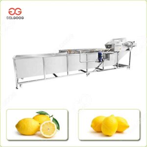 Machine à Laver les Fruits au Citron Industrielle à Vendre