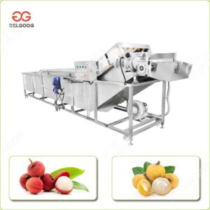 Machine de Traitement de Lavage des Fruits Longane Ramboutan Litchi