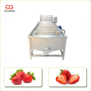 Machine à Laver les Fraises Équipements de Traitement de Baies