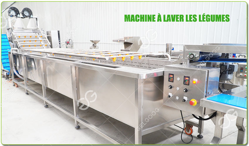 Machine à Laver les Légumes à Feuilles