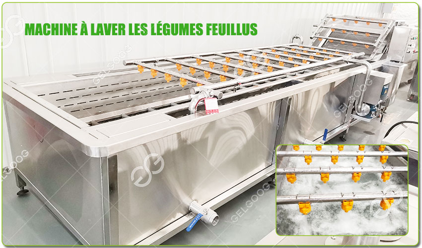Machine à Laver les Légumes