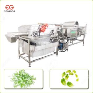 Fabricant de Machine de Nettoyage à Courant de Foucault de Légumes