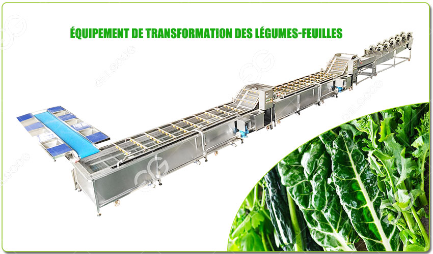Équipement De Transformation Des Légumes-Feuilles