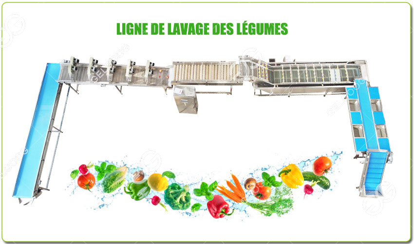La Ligne De Lavage Des Légumes Peut-Elle Être Personnalisée