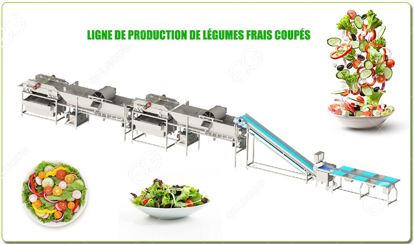 Ligne de production de légumes frais coupés