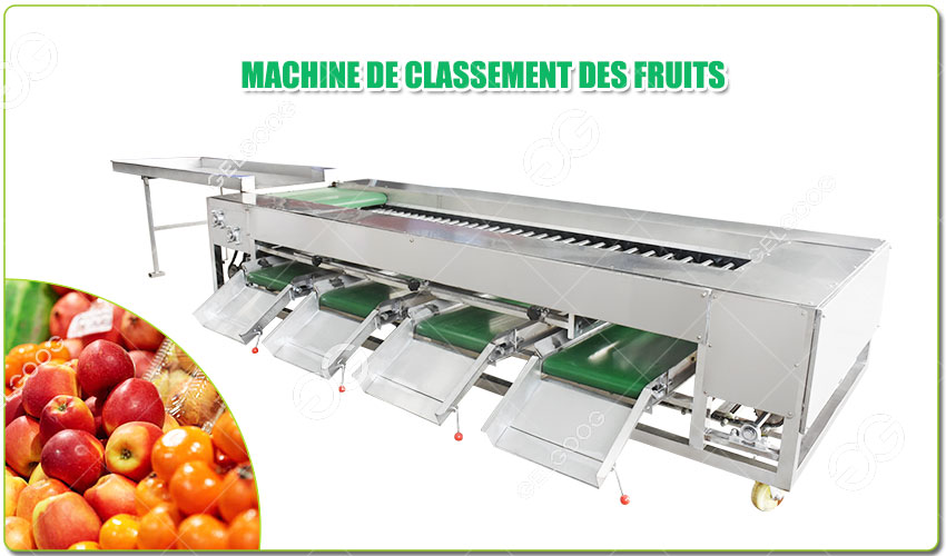 Machine-de-Classement-Des-Fruits