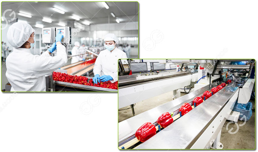 Marché De La Transformation Des Fruits Et Légumes