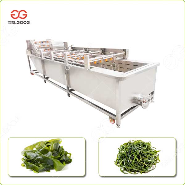 Usine de Machine de Lavage de Nettoyage d'Algue et Varech en Acier Inoxydable Usine de Machine de Lavage de Nettoyage d'Algue et Varech en Acier Inoxydable