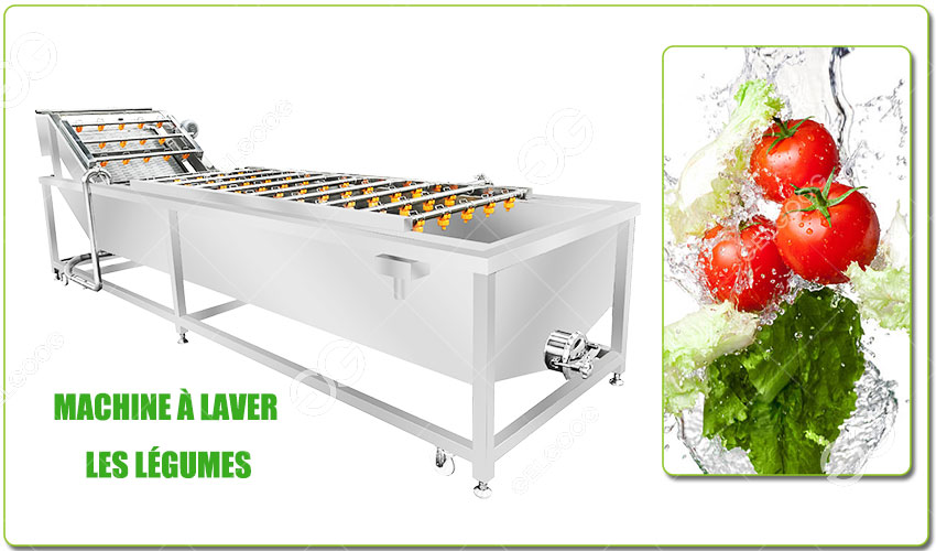 Machine à Laver les Légumes