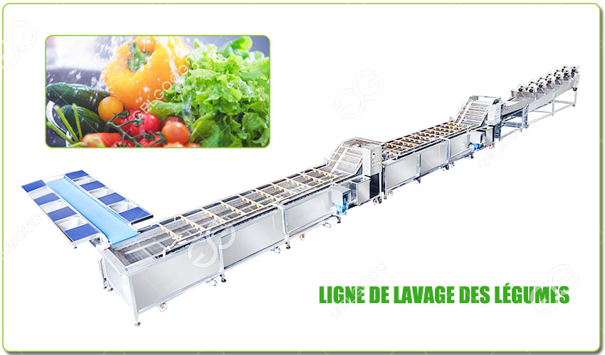 Ligne de Lavage des Légumes