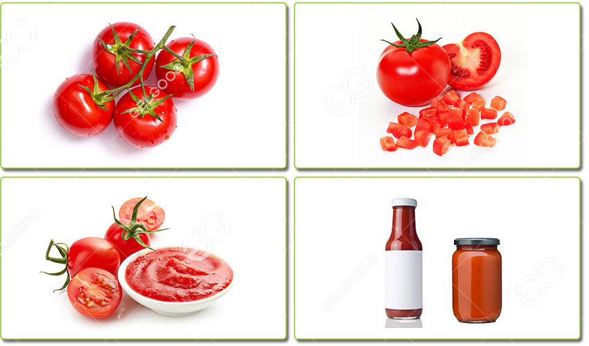 Comment Est Fabriquée La Sauce De Tomate