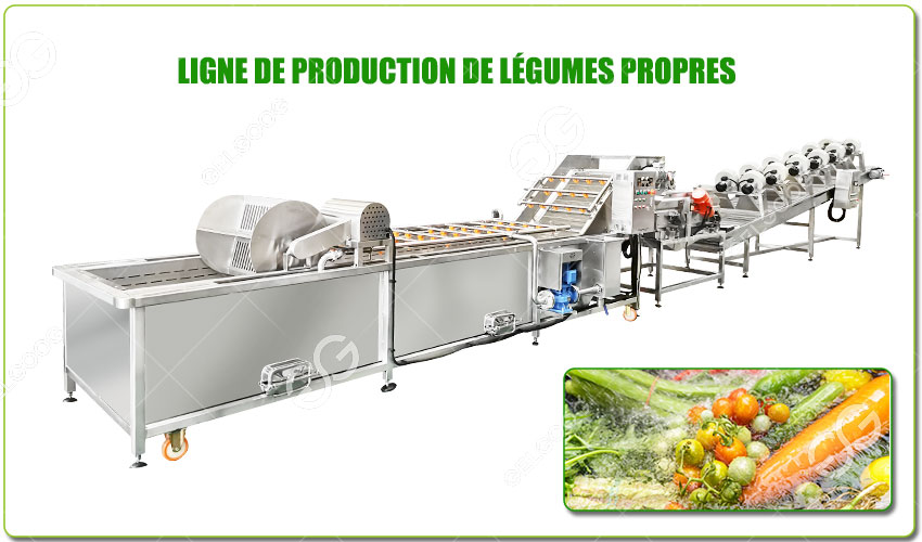 ligne de production de légumes propres