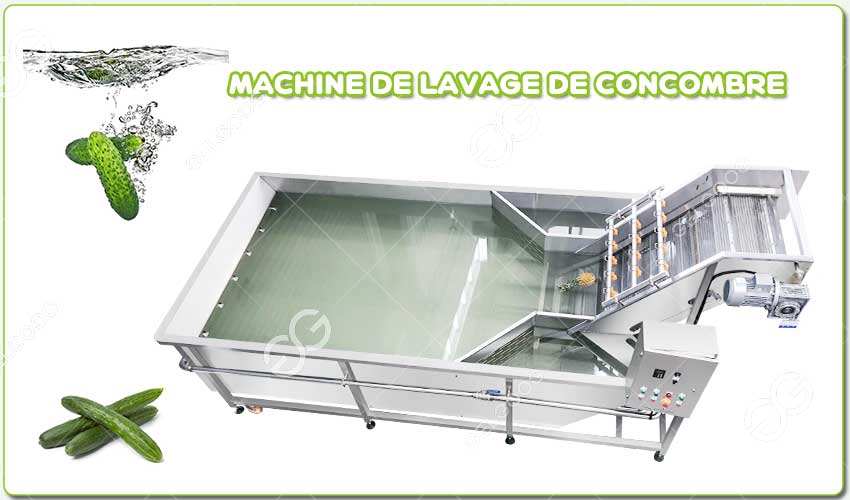 Introduction de la Machine à Laver le Concombre