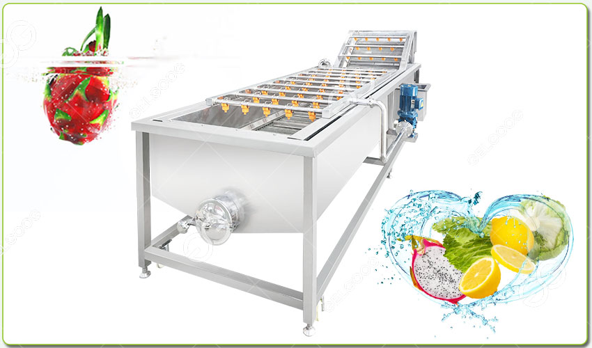 Description de la Machine à Laver les Fruits de Pitahaya