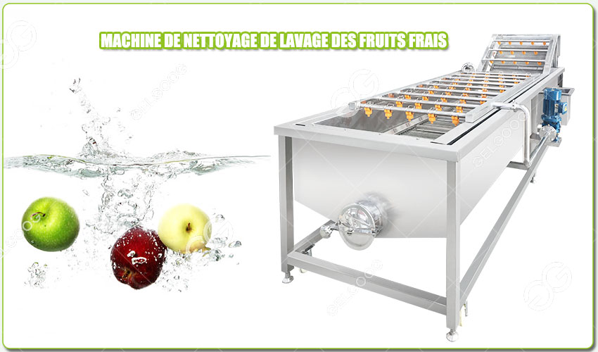 Introduction de la Machine de Nettoyage de Pomme de Mangue