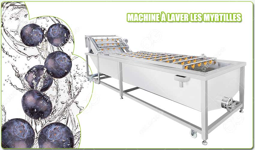 Présentation de la Machine à Laver les Myrtilles