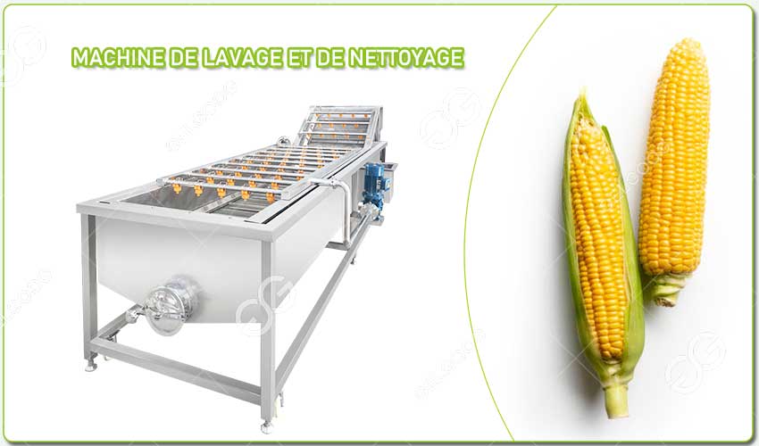 Présentation de la Machine de Nettoyage de Maïs Sucré