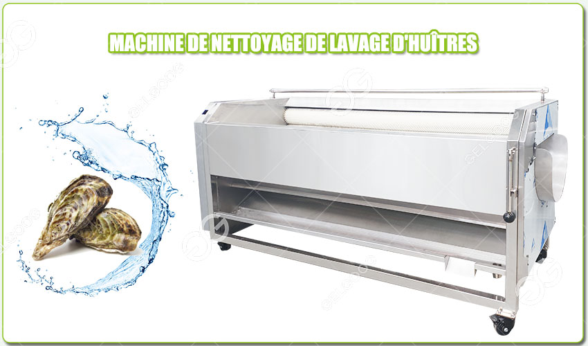 Introduction de la Machine à Laver les Huîtres