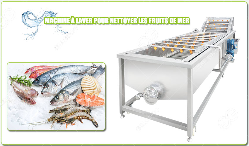 Introduction de la Machine à Laver les Fruits de Mer