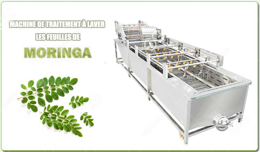Introduction de la Machine à Laver les Feuilles de Moringa