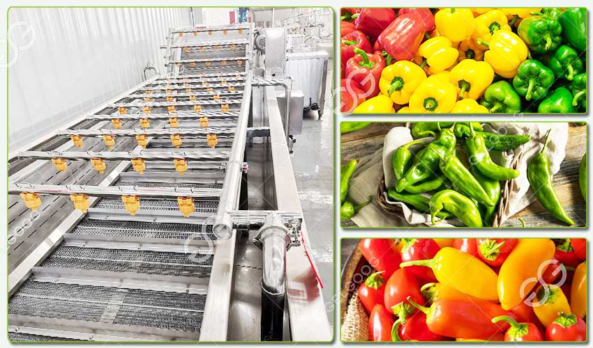 Caractéristiques de la Machine de Nettoyage de Piment