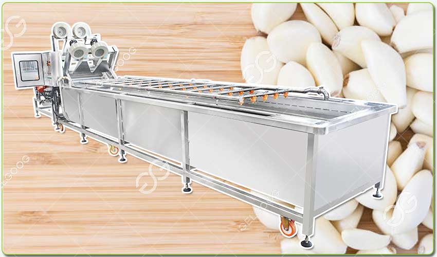 Introduction à la Machine à Laver à l'Ail