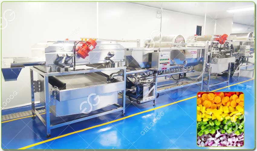 Caractéristiques de la Machine de Nettoyage à Courant de Foucault de Légumes