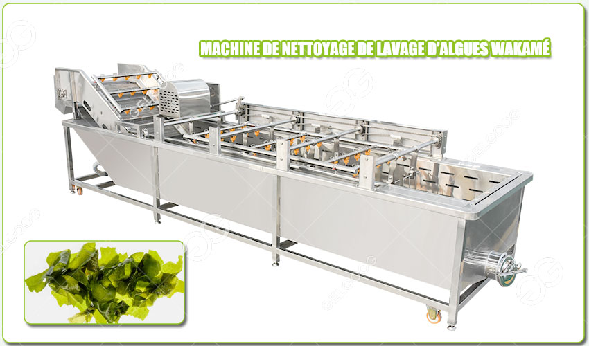 Introduction de la Machine à Laver Wakamé
