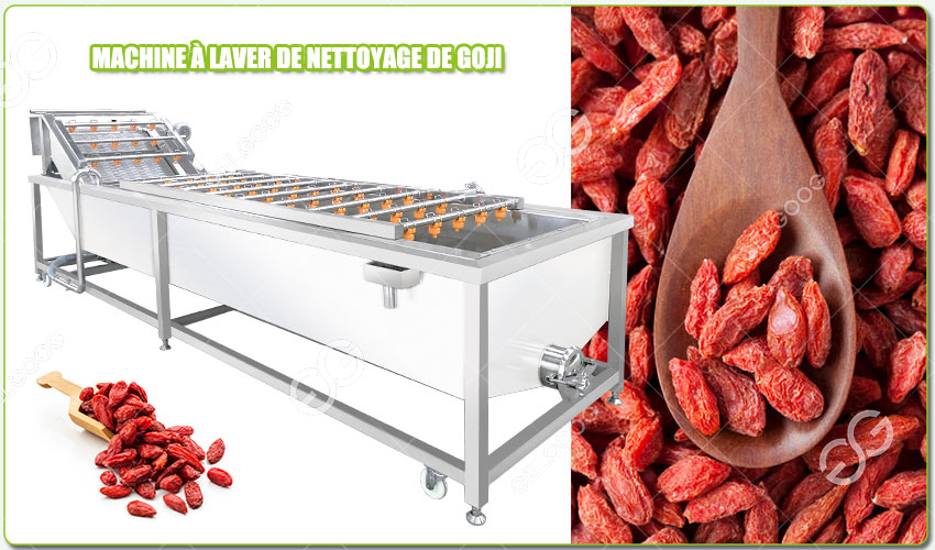 Introduction de la Machine à Laver le Goji