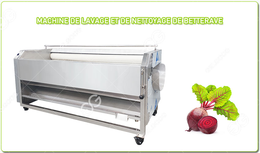 Machine de Lavage et de Nettoyage de Betterave