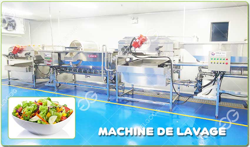 Machine de Lavage de Salade