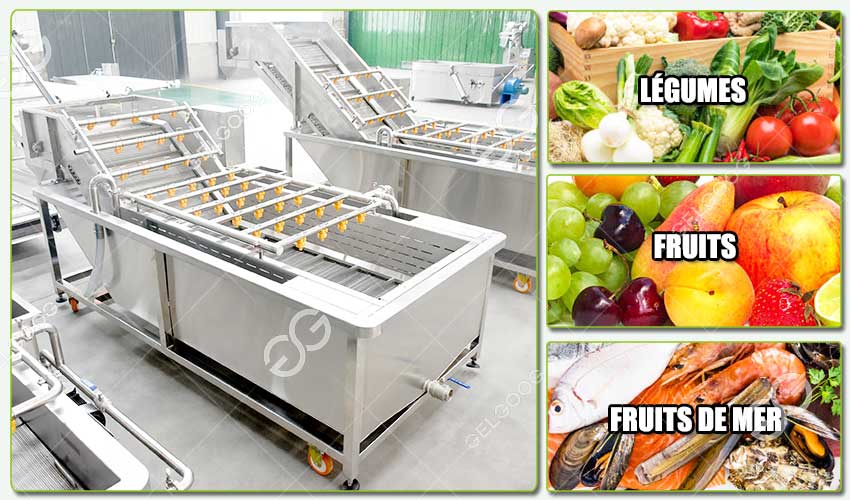 Champ d'Application de la Machine à Laver les Pitahayas