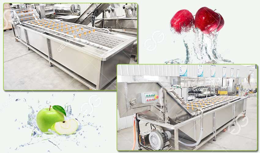 Caractéristiques de la Machine à Laver les Fruits Pomme Mangue
