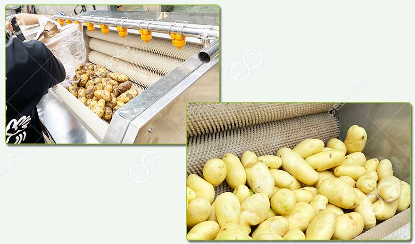 Caractéristiques de la Machine à Laver les Pommes de Terre Commerciale