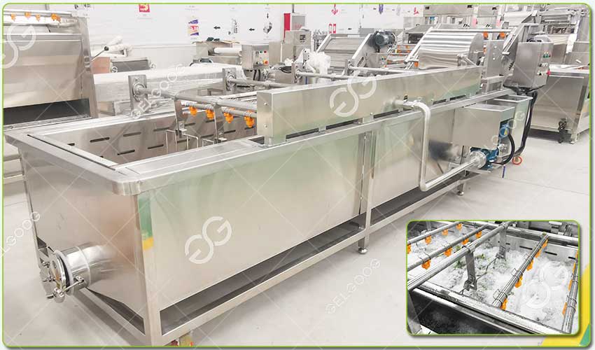 Caractéristiques de la Machine de Nettoyage de Feuilles de Moringa