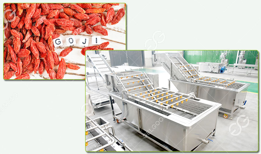 Caractéristiques de la Machine de Nettoyage de Goji