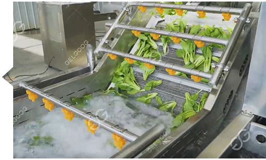 vegetable washing machine manufacturers