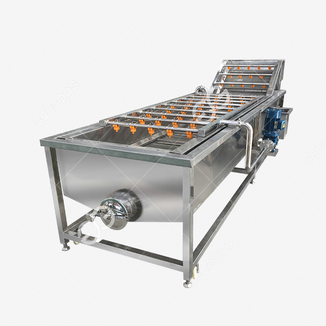 leafy vegetable washing machine