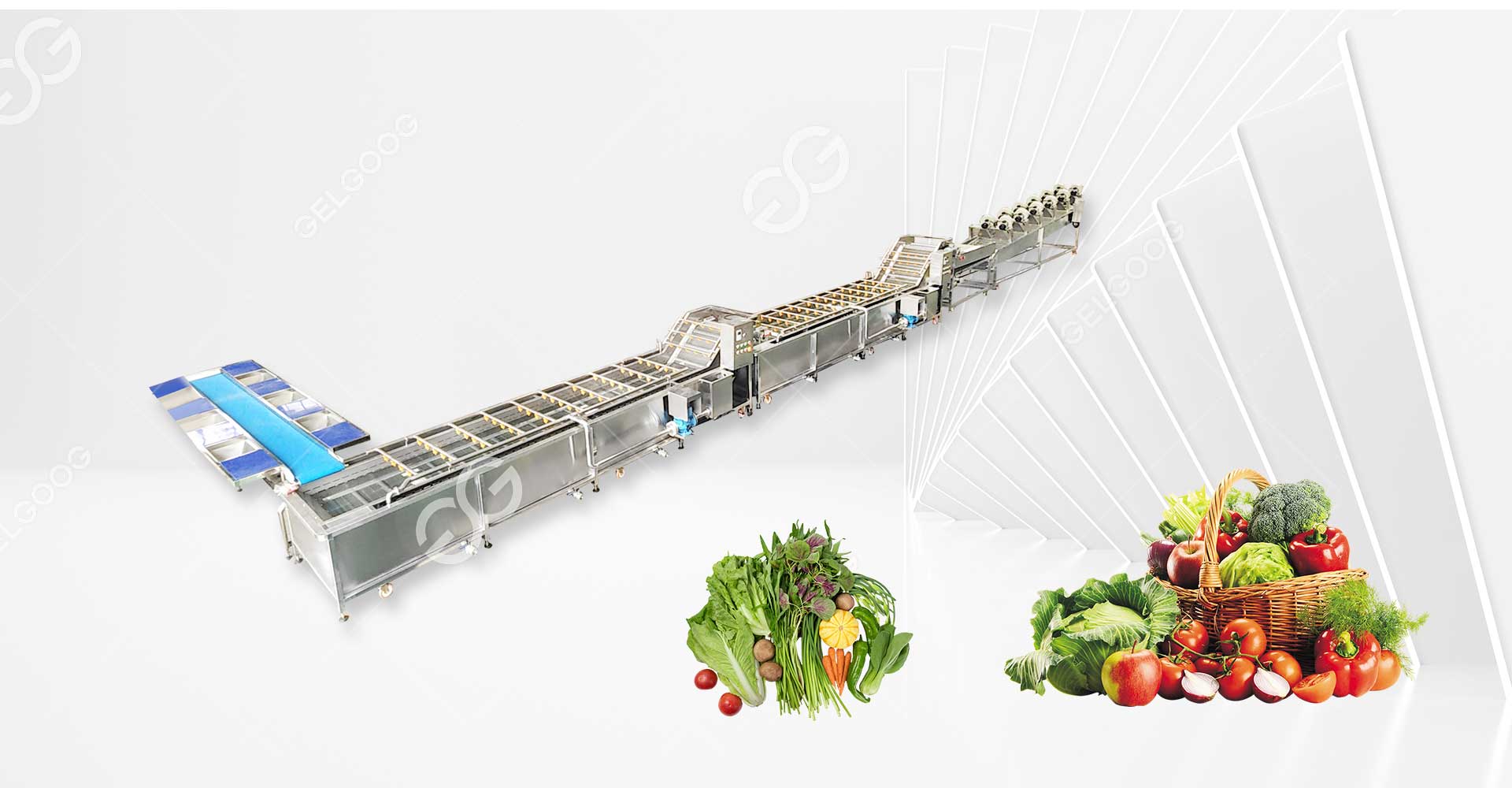 Machines de transformation de légumes et de fruits - Solutions de  traitement des emballages alimentaires