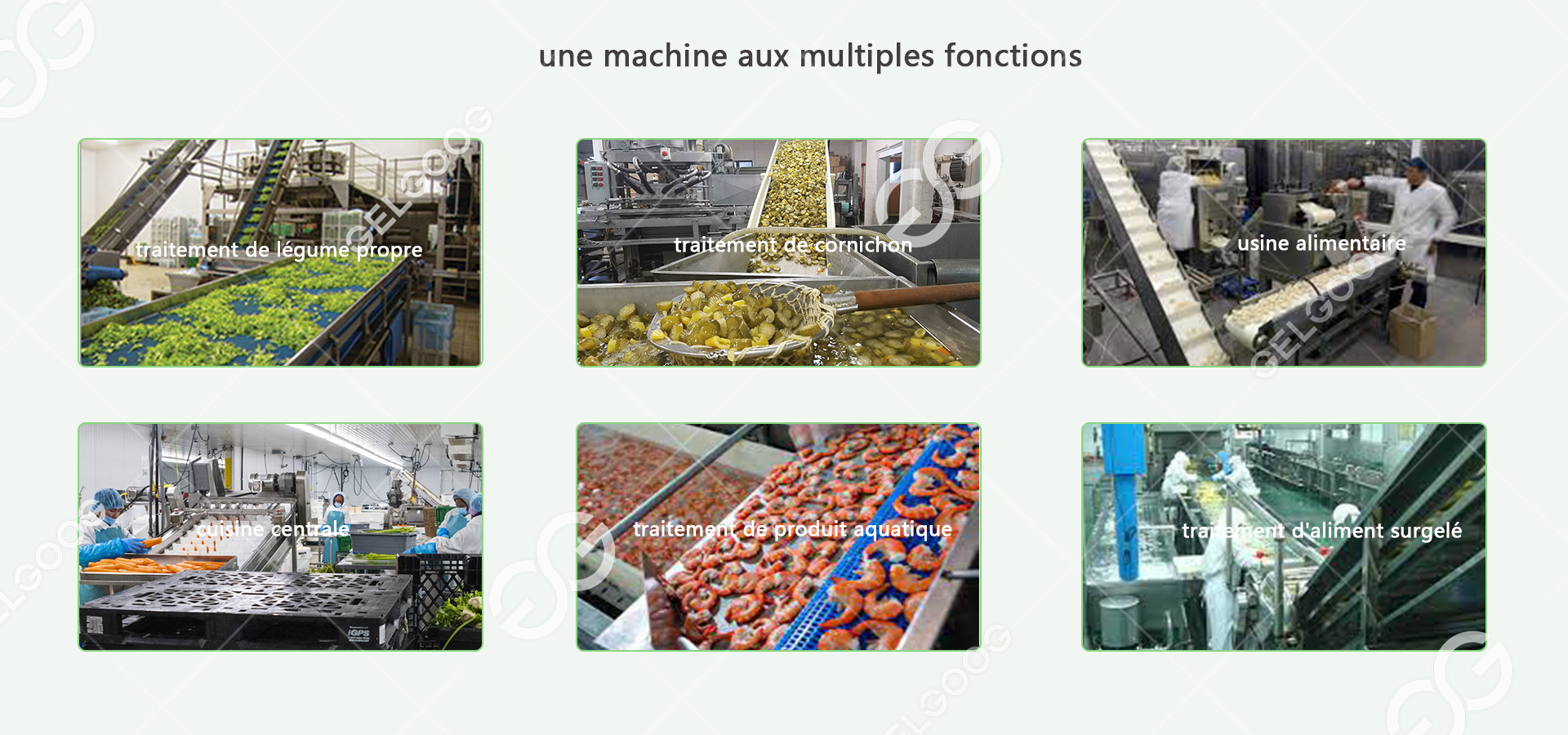 traitement de légume propre