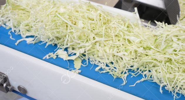 vegetable-cutting-line-630x340