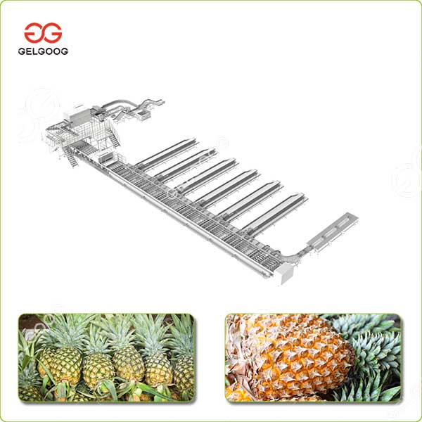 Ligne-de-tri-des-ananas